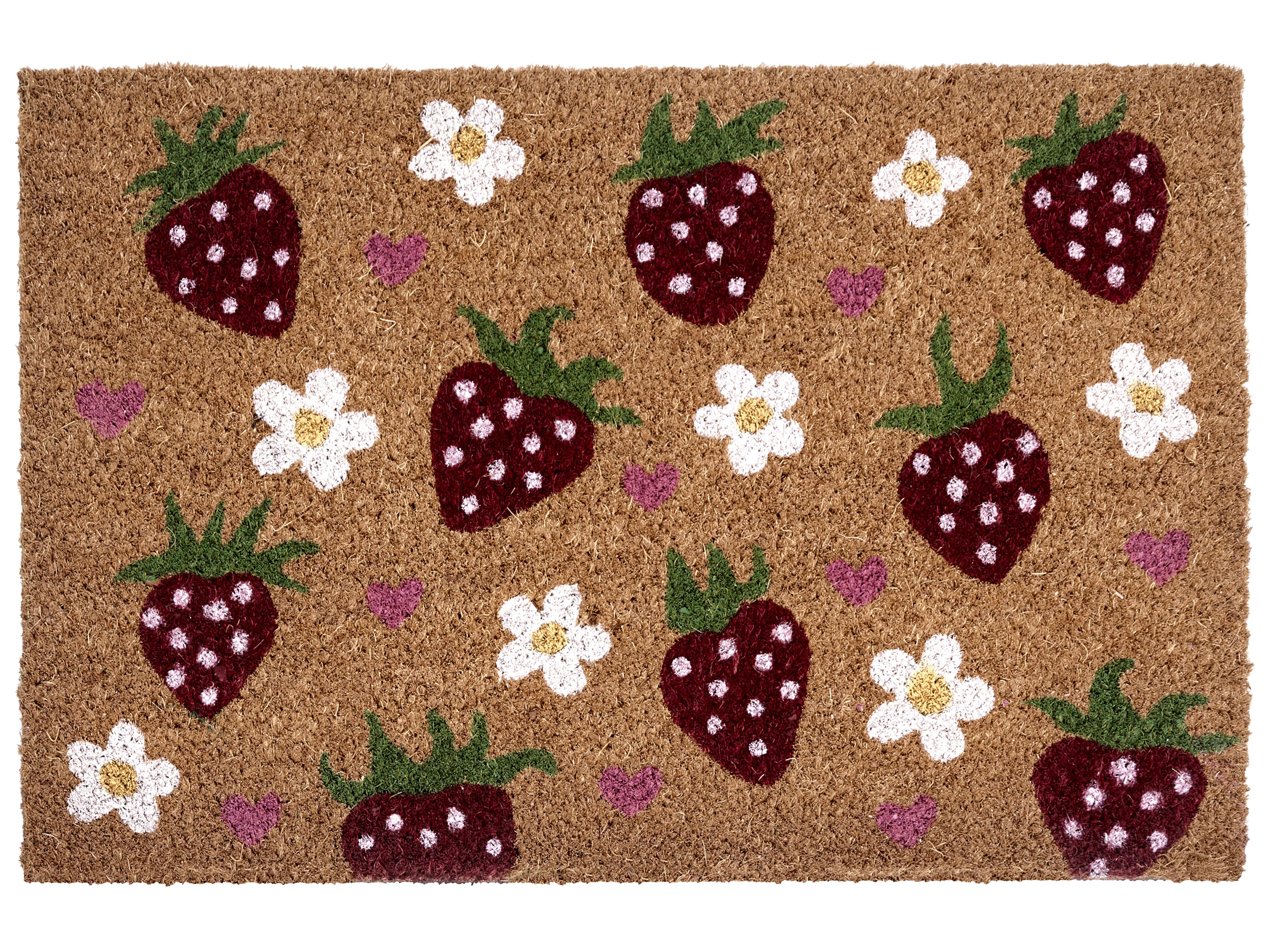Doormat SHAININ Multicolour 40 x 60 cm Coir