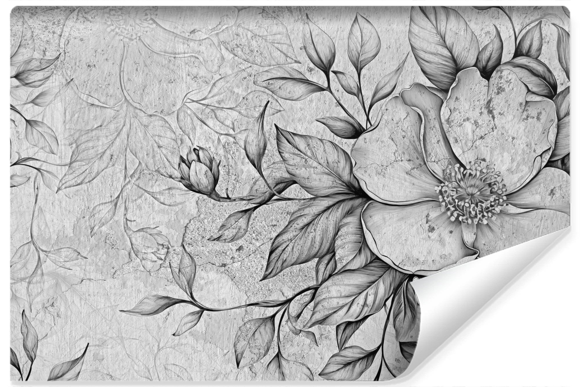 Fototapeta Kwiaty Na Betonie Vintage 368x280cm