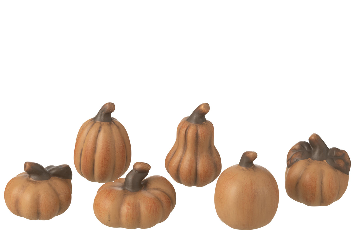 J-Line decoratie Pompoen - porselein - bruin - doos van 6