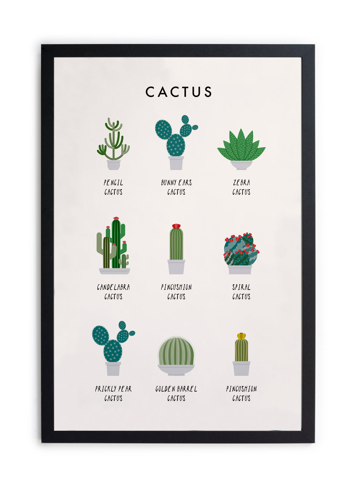 Zwarte lijst met kader 40x30 cactus