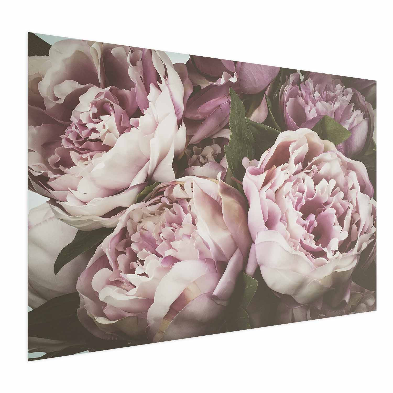 Plakat Różowe piwonie 30x21 cm
