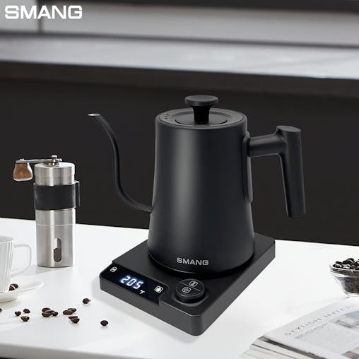NNETM Electric Kettle Gooseneck Adjustable Temp (1200W)
