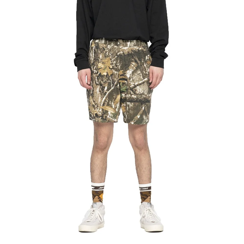 Santa Cruz Painter shorts