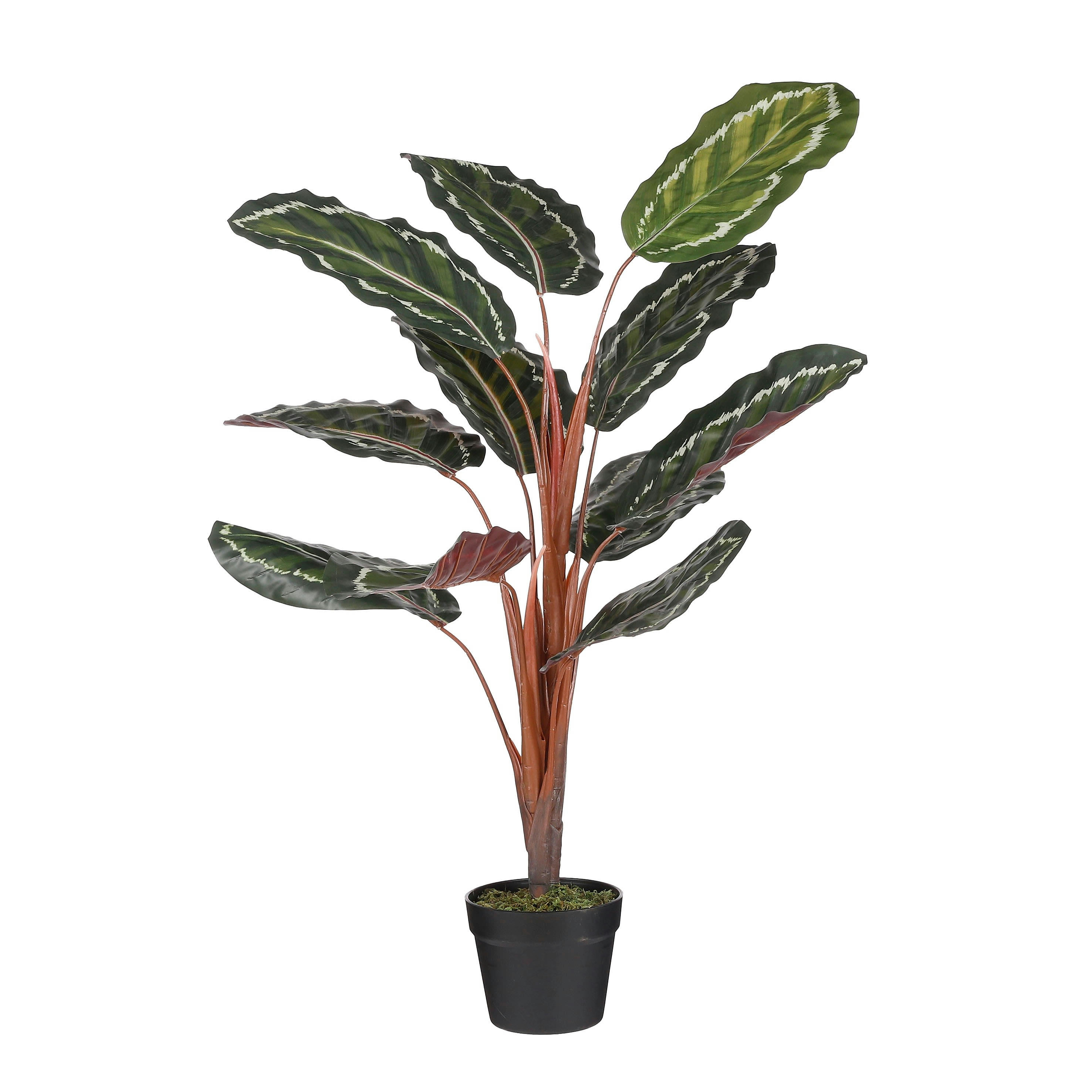 - Calathea roseopicta artificielle en pot vert H90