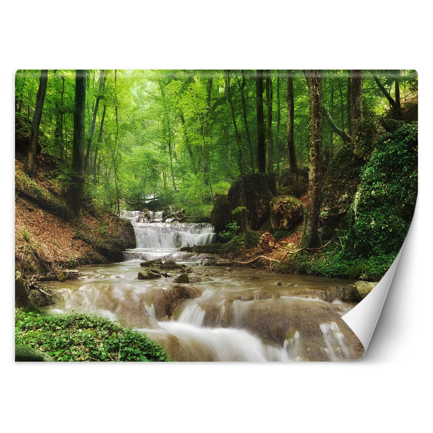 Feeby Fototapeta, Górski potok las natura 150x105