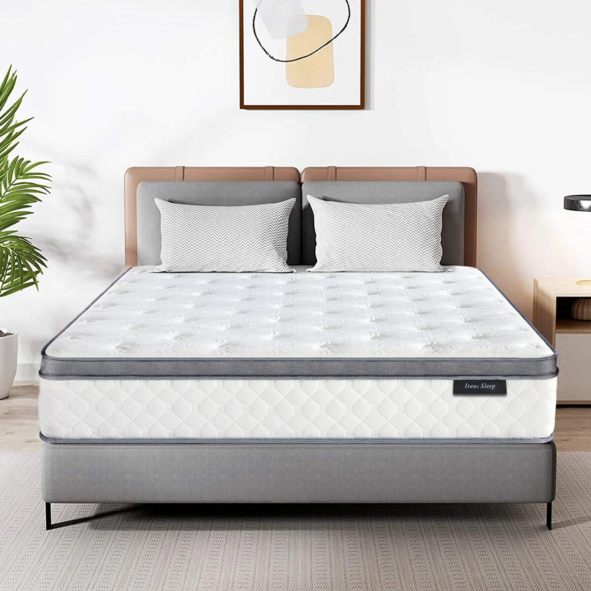 Isaac Sleep 12 in. Memory Foam Hybrid Euro Top Mattress