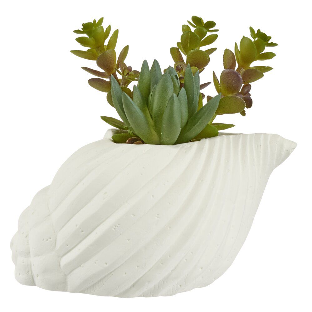 Plante grasse artificielle pot ciment forme coquillage blanc H15,5cm (2 modèles)