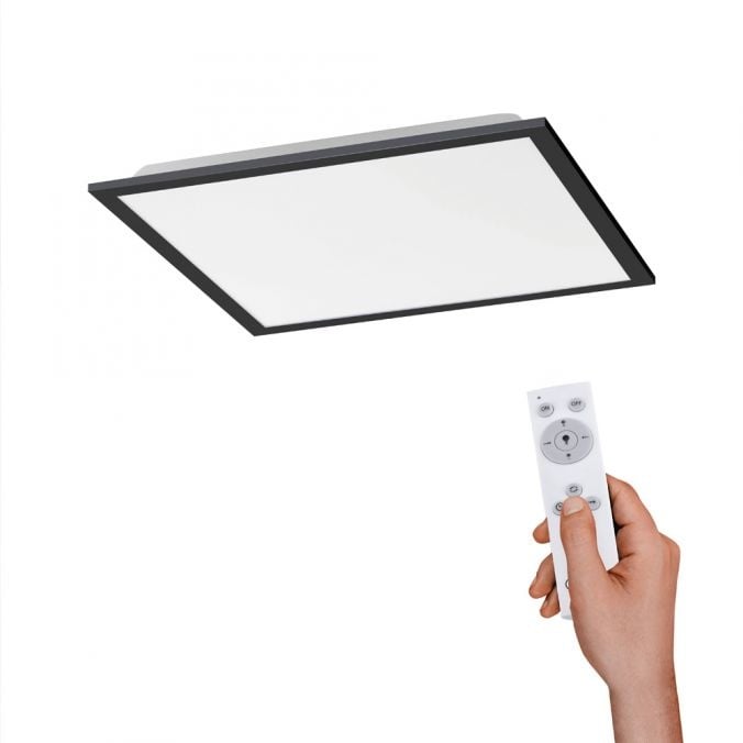 Paul Neuhaus plafondlamp Flat - 1 lichts - 45.5 x 6.6  cm - zwart
