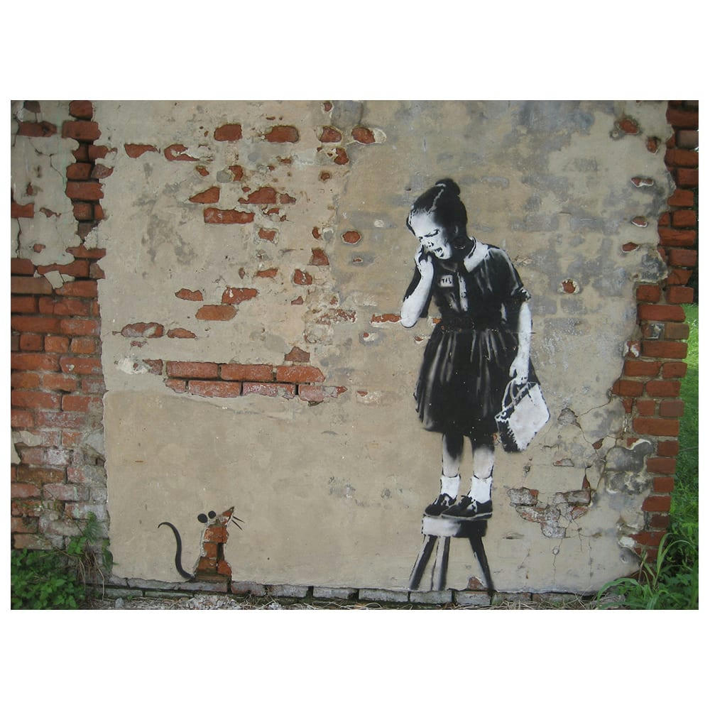 - Tableau impression sur toile Fille et Souris 60x80cm
