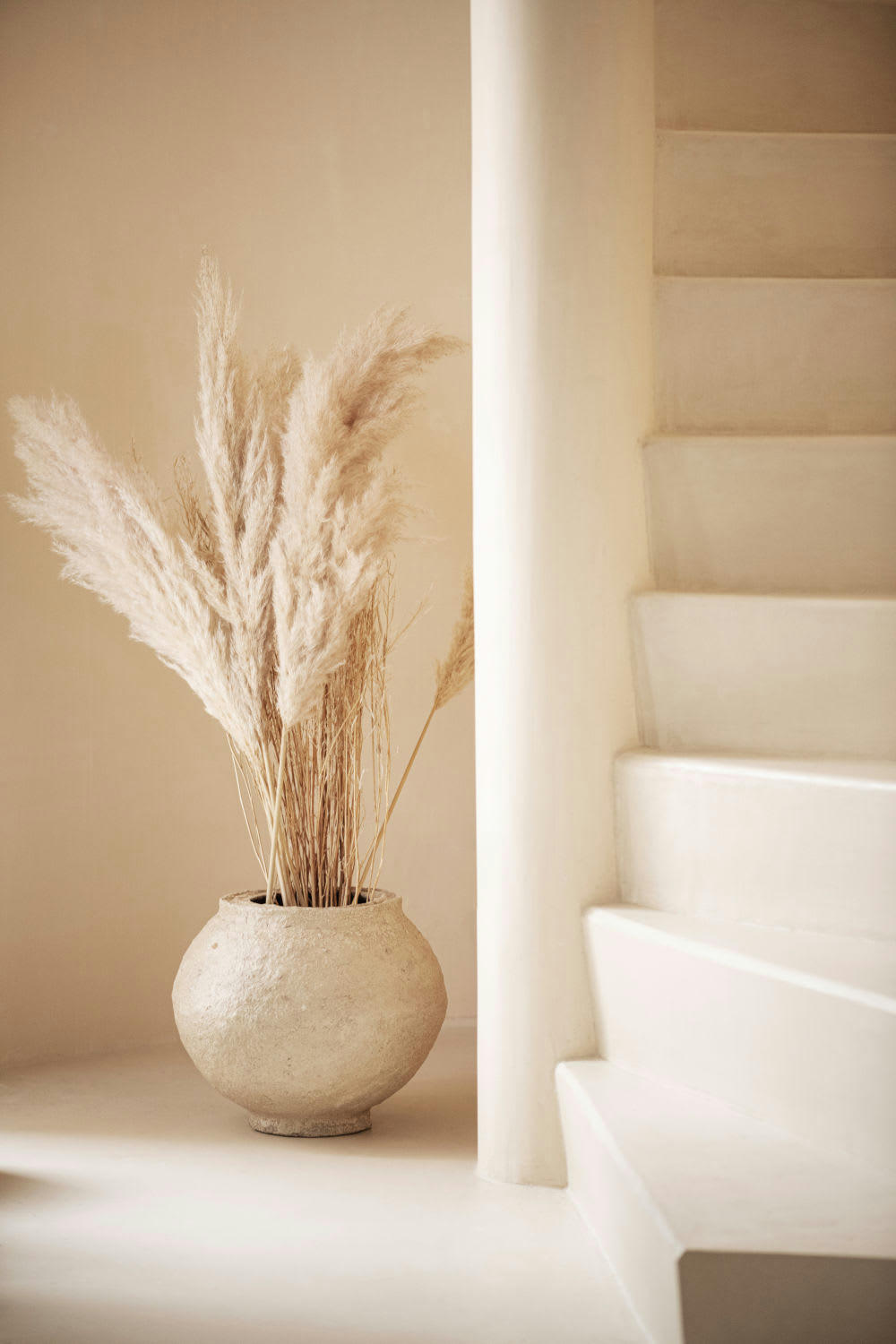 - Bouquet de pampa séchée