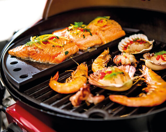 Ziegler & Brown Single Burner Portable Grill Cast Iron Half Hotplate