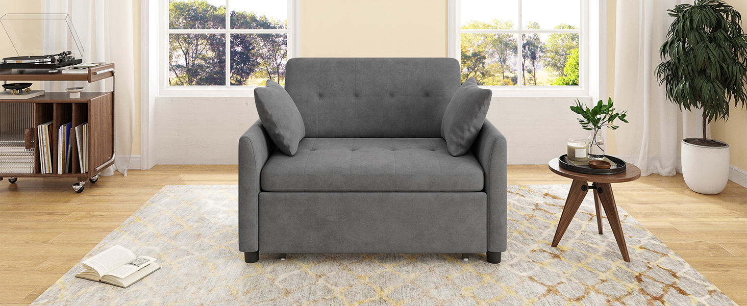 sleeper sofa