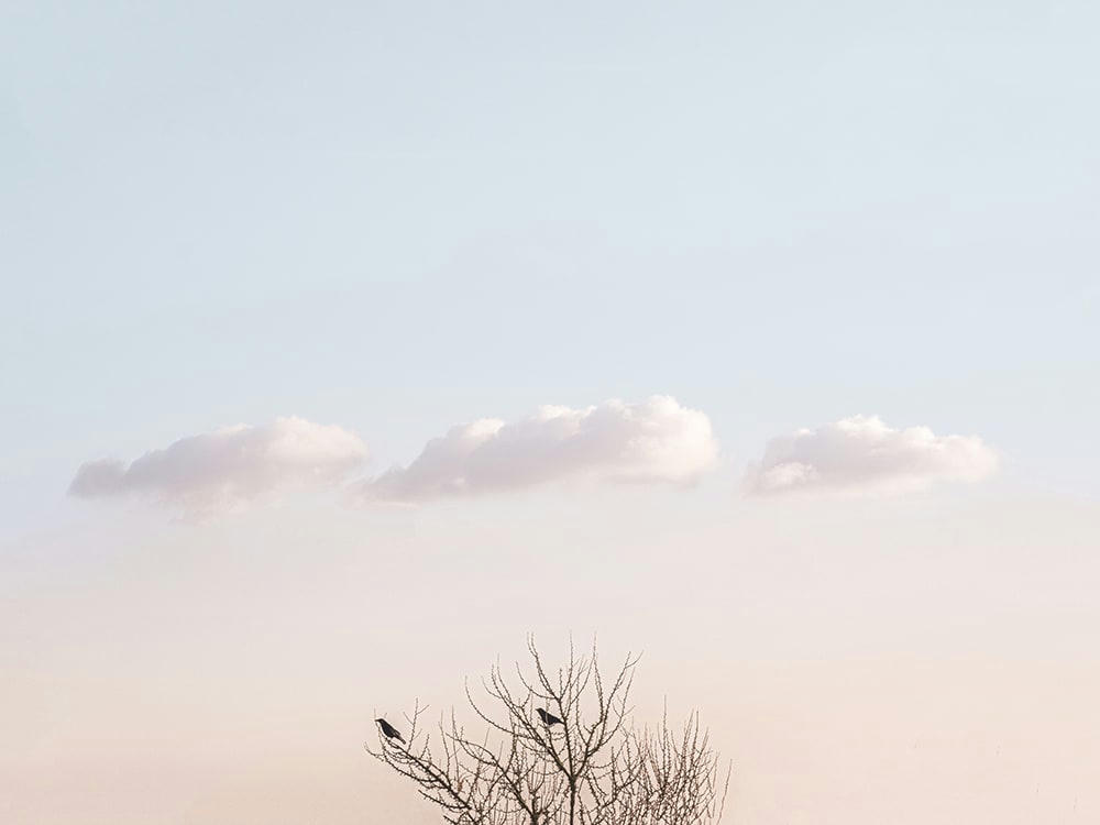 LES TRIPLÉS - Photographie d'art de Laura Sanchez 45x60 cm sur alu