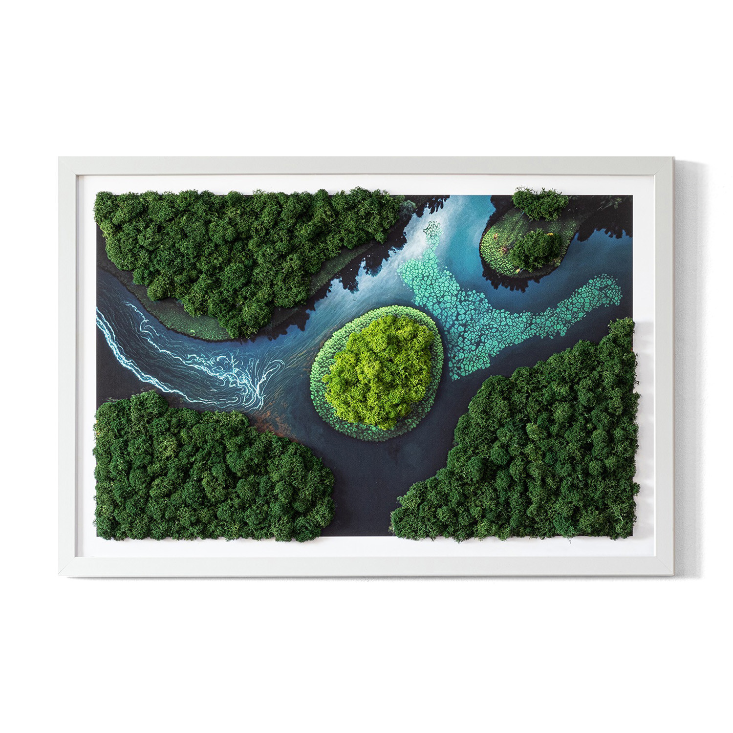 Obraz z mchem - Wyspa na rozlewisku 60x40 cm Biała Rama