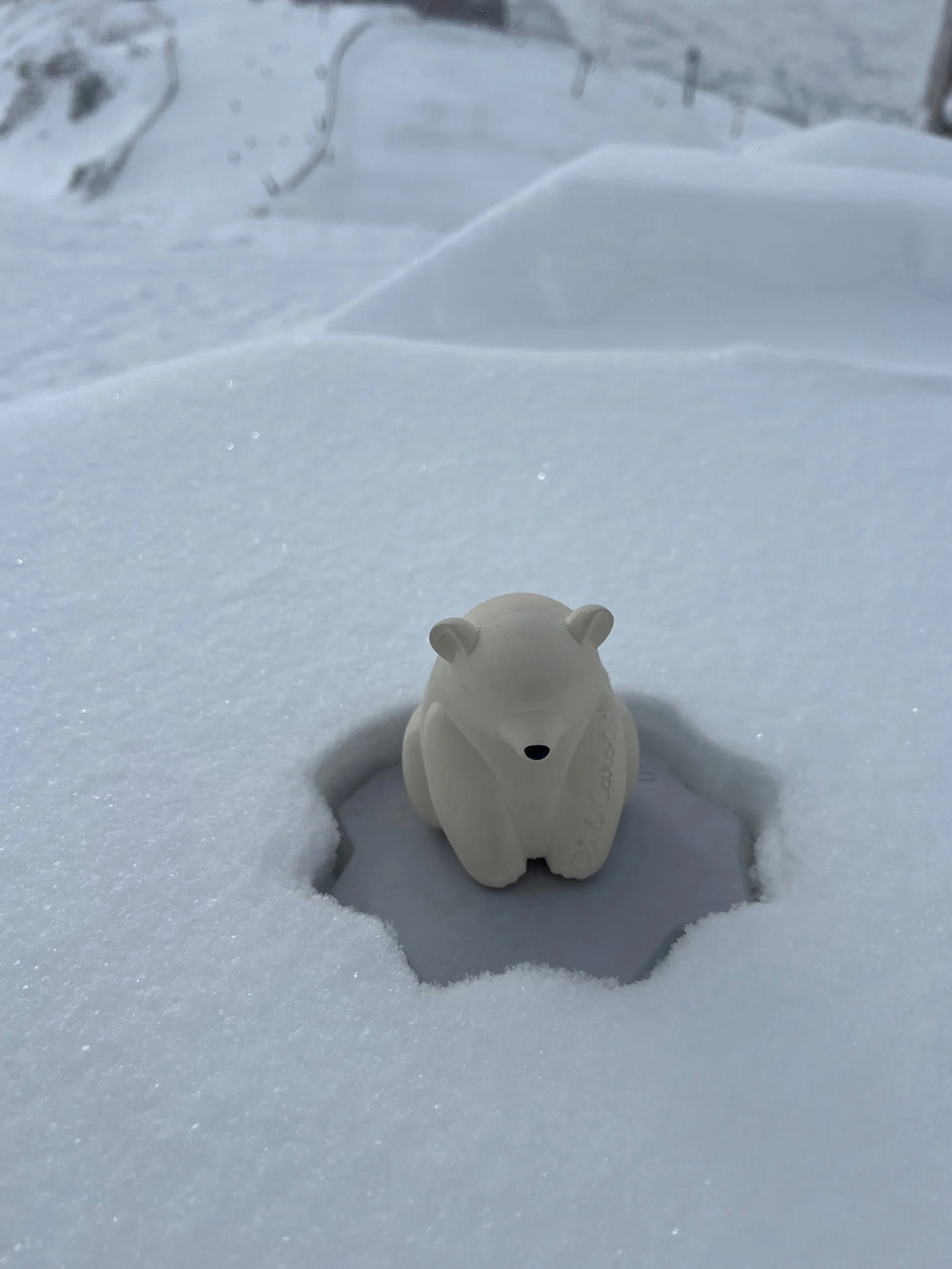 Handgefertigtes Badespielzeug Ice Protector