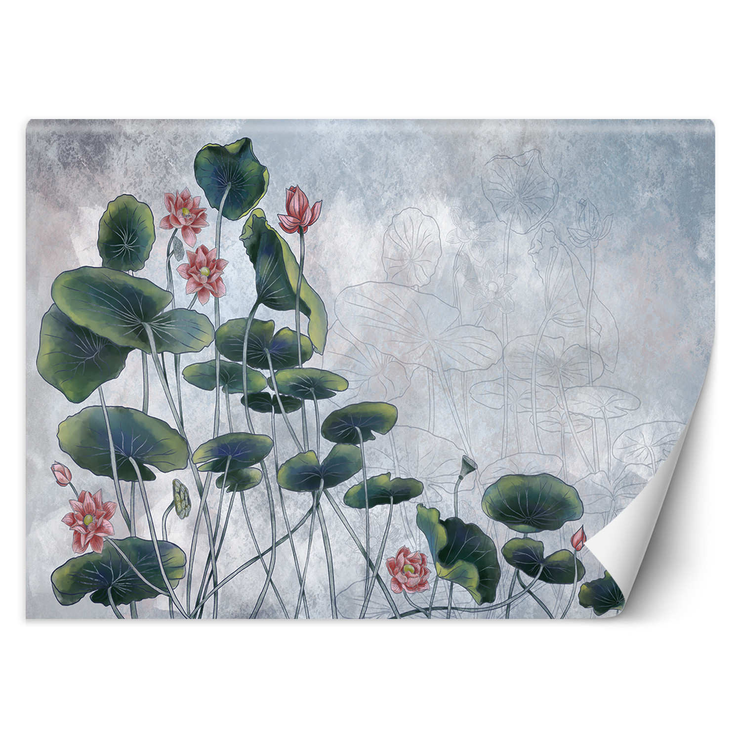 Feeby Fototapeta, Lilia wodna 150x105