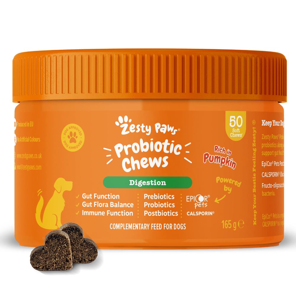 Zesty Paws Probiotic Chews Digestion - Pumpkin