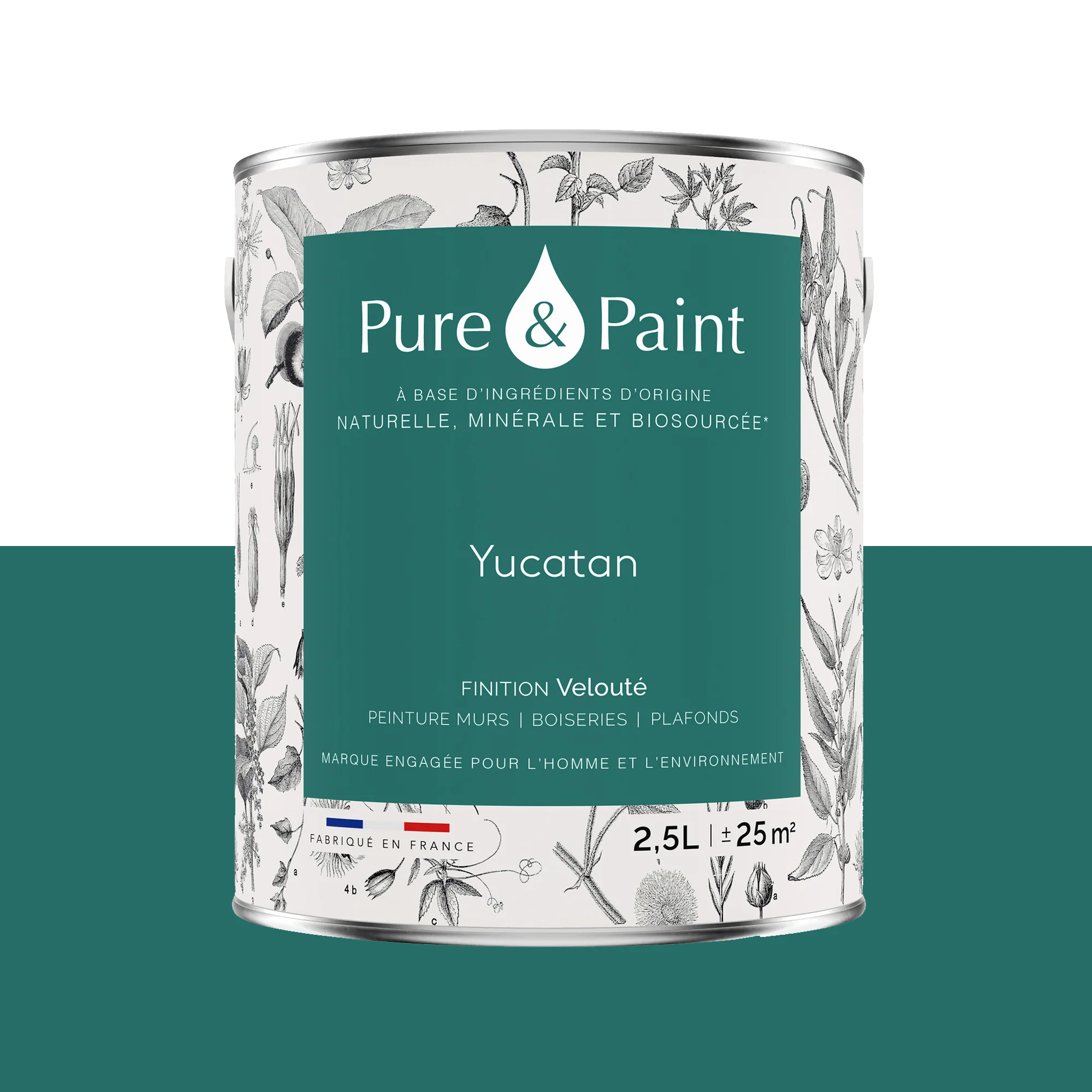 Pure and Paint Peinture Peinture Yucatan