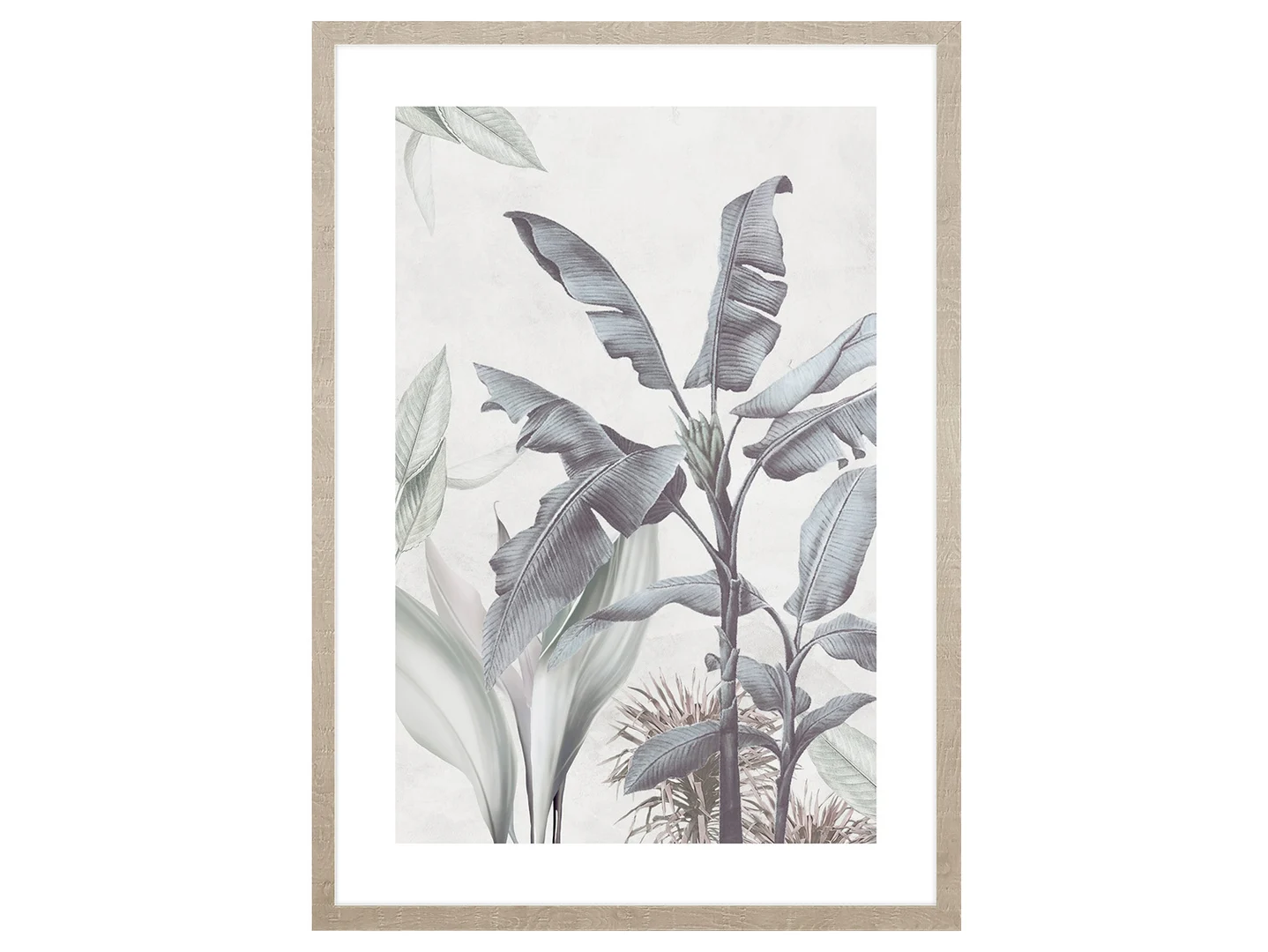 Obraz w ramie Strelicia In The Jungle No. 1 53x73 cm