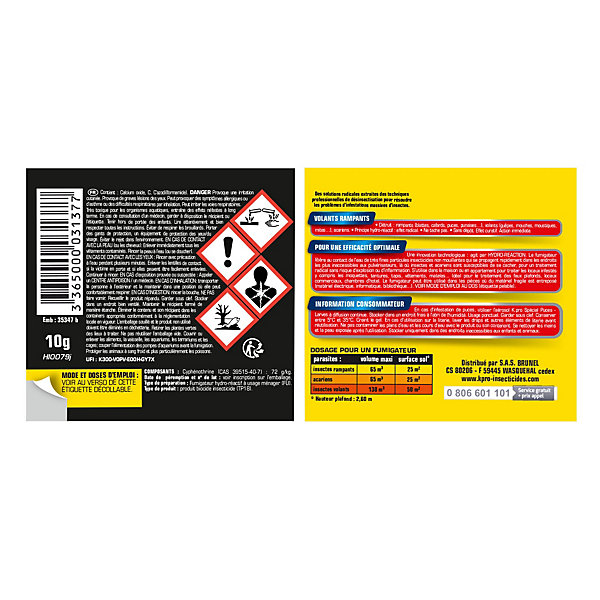Fumigateur spécial infestation volants rampants Kapo choc 400 ml