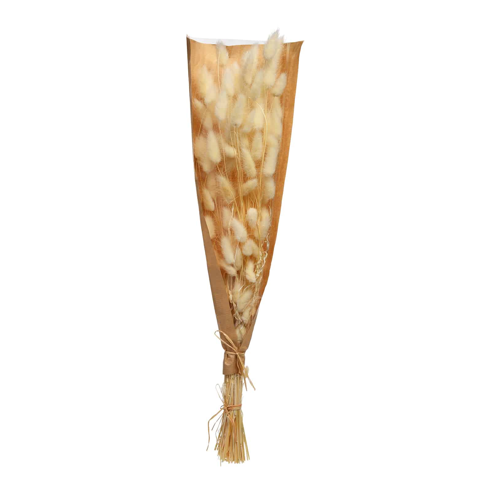Trockenblumenbund Samtgras Creme,L 600 mm