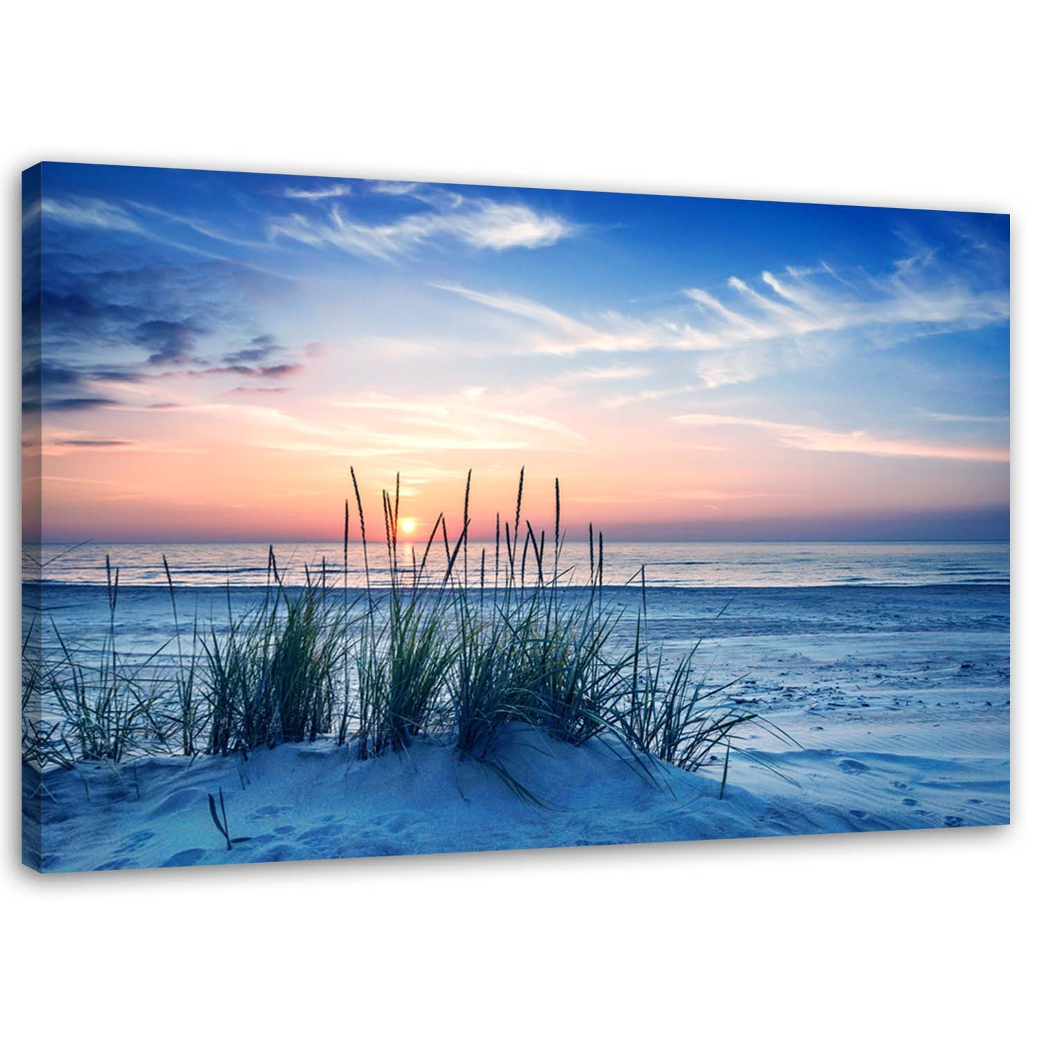 Feeby Obraz na płótnie Plaża morze trawy 60x40