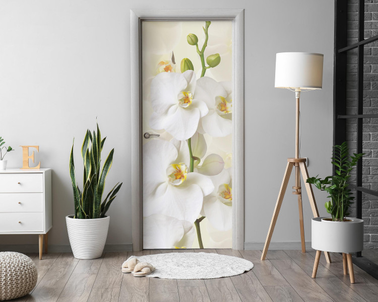 Naklejka na drzwi Białe orchidee 75x205 cm Fototapeta