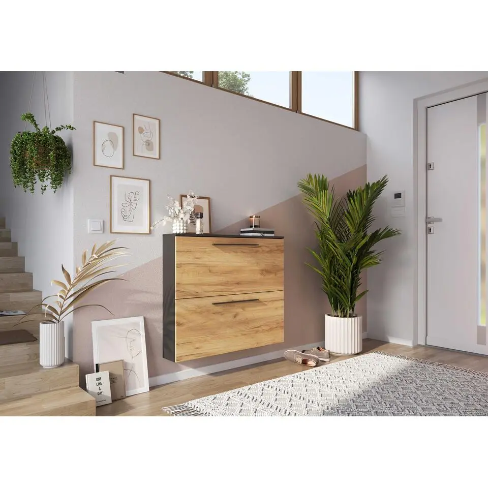 Schoenenkast Willemijn met 2 vakken - antraciet/eik