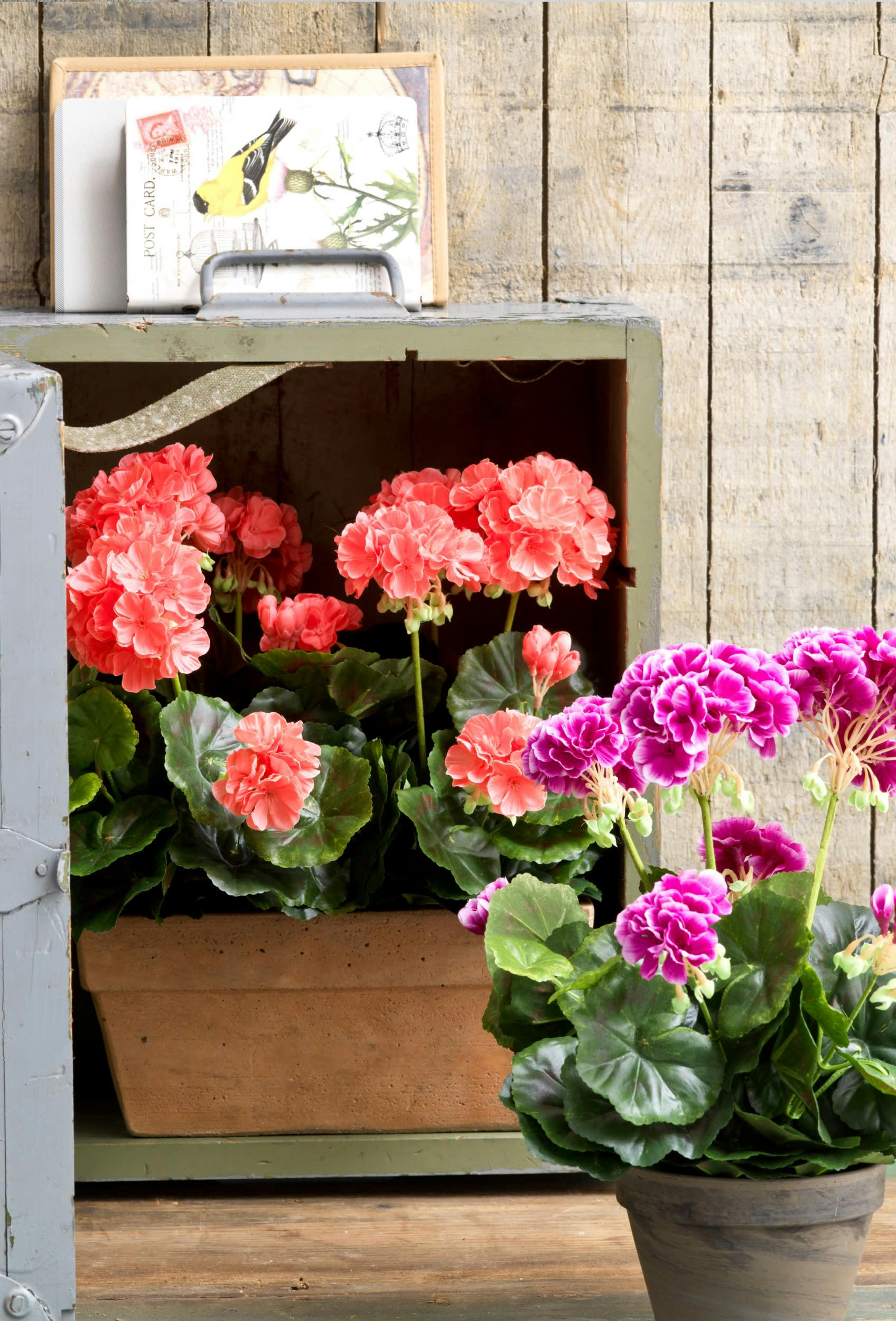 - Géranium artificielle saumon en pot H40