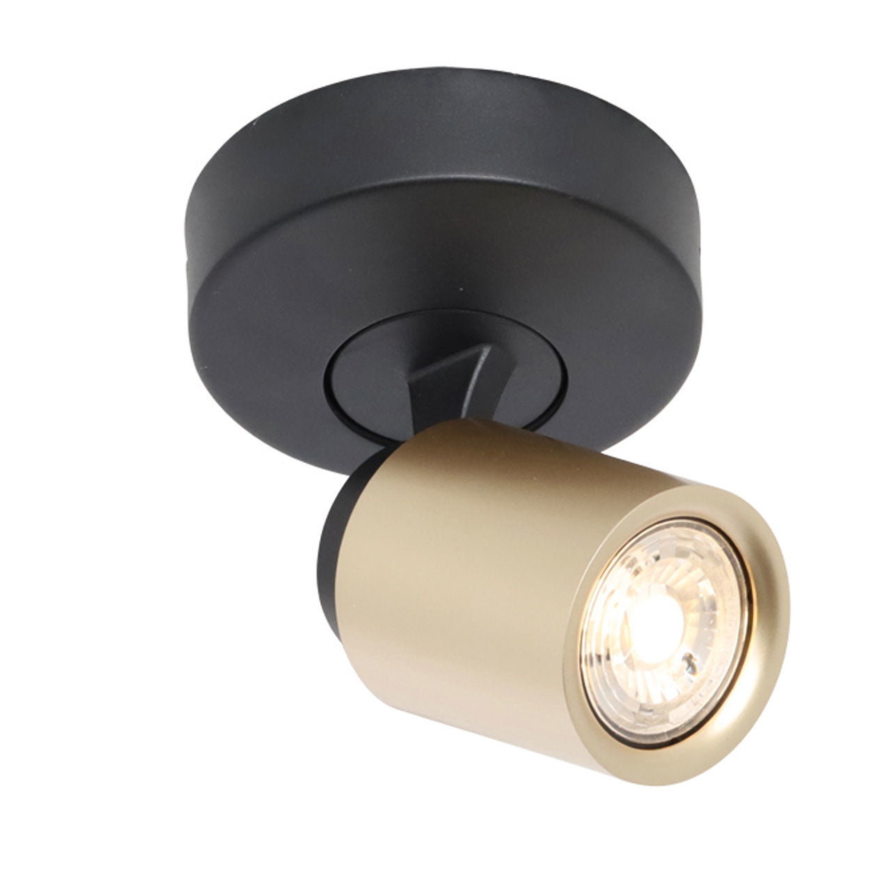 Freelight spot Razza - 1 lichts - 11 x 14  cm - zwart goud