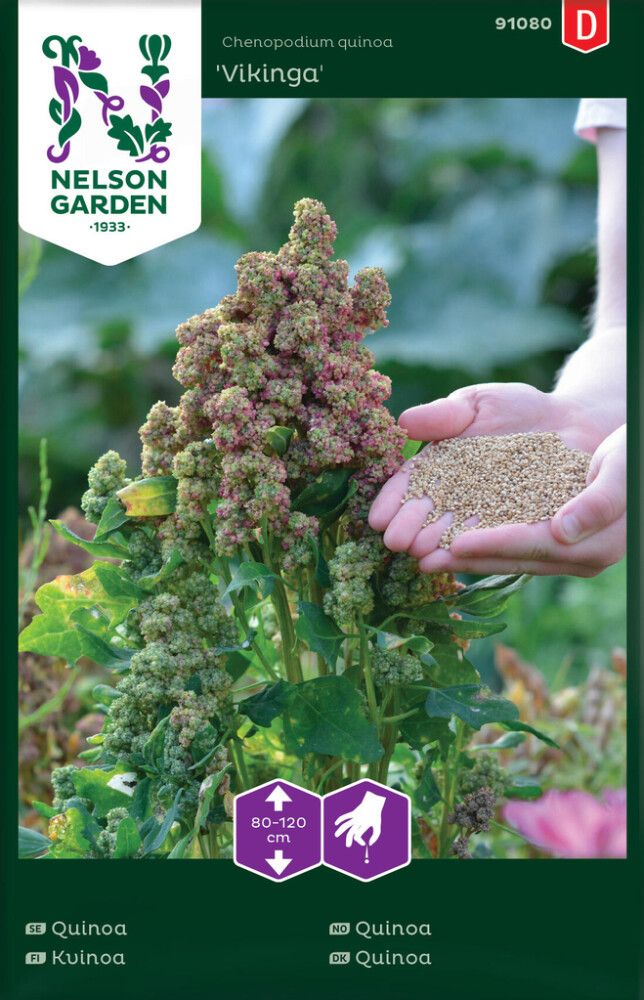 GRØNNSAKSFRØ NELSON GARDEN QUINOA VIKINGA
