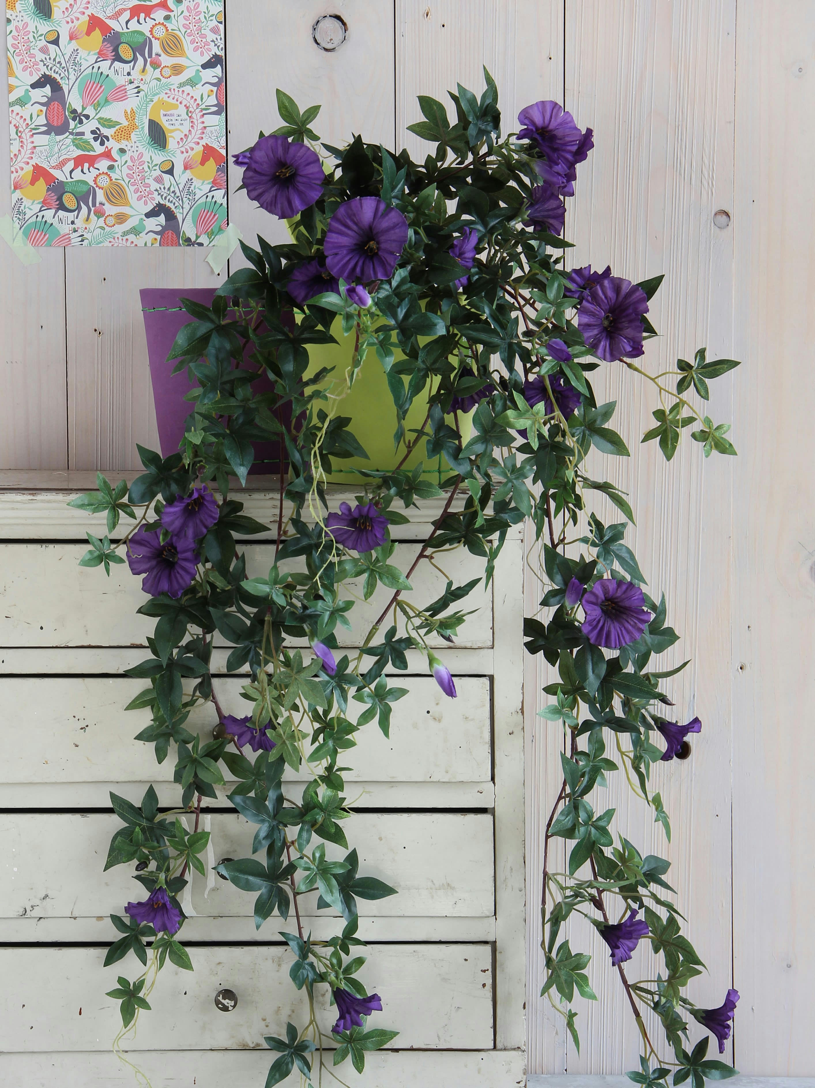 - Pétunia artificielle suspendue violet foncé H80