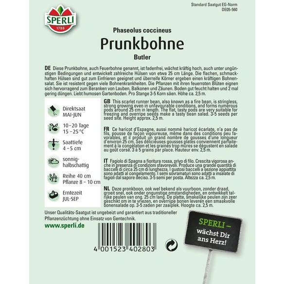 Prunkbohnen »Butler«, robuste, fadenlose Feuerbohne, hoher Wuchs