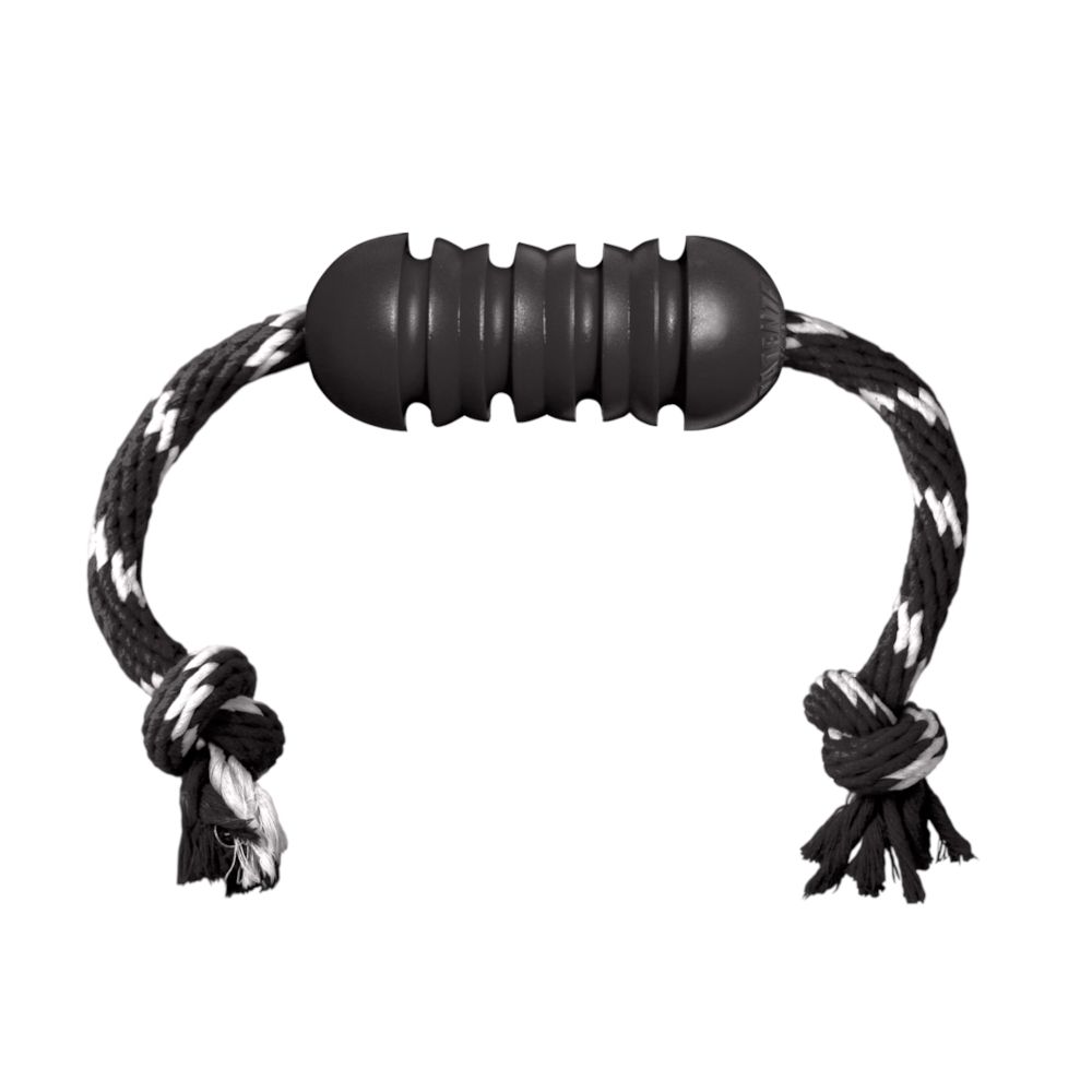 KONG Extreme Dental Dog Toy with Rope