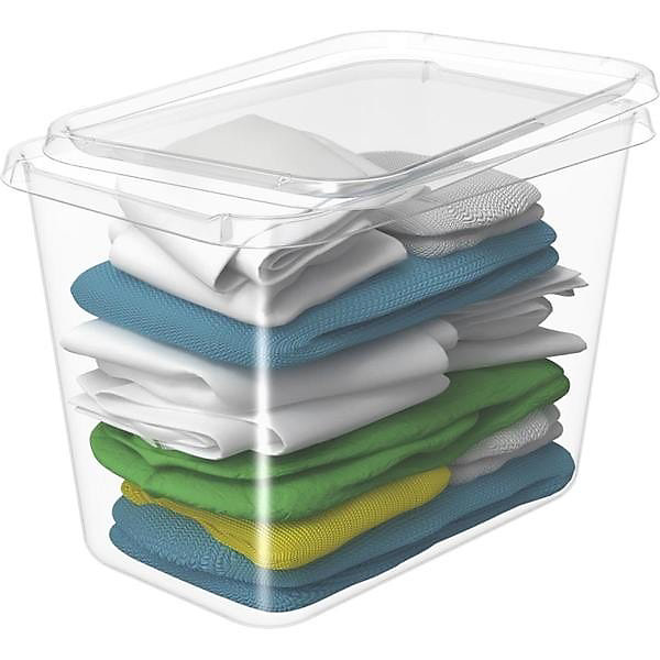 Grande Boîte de rangement transparente 60 litres Basic XL