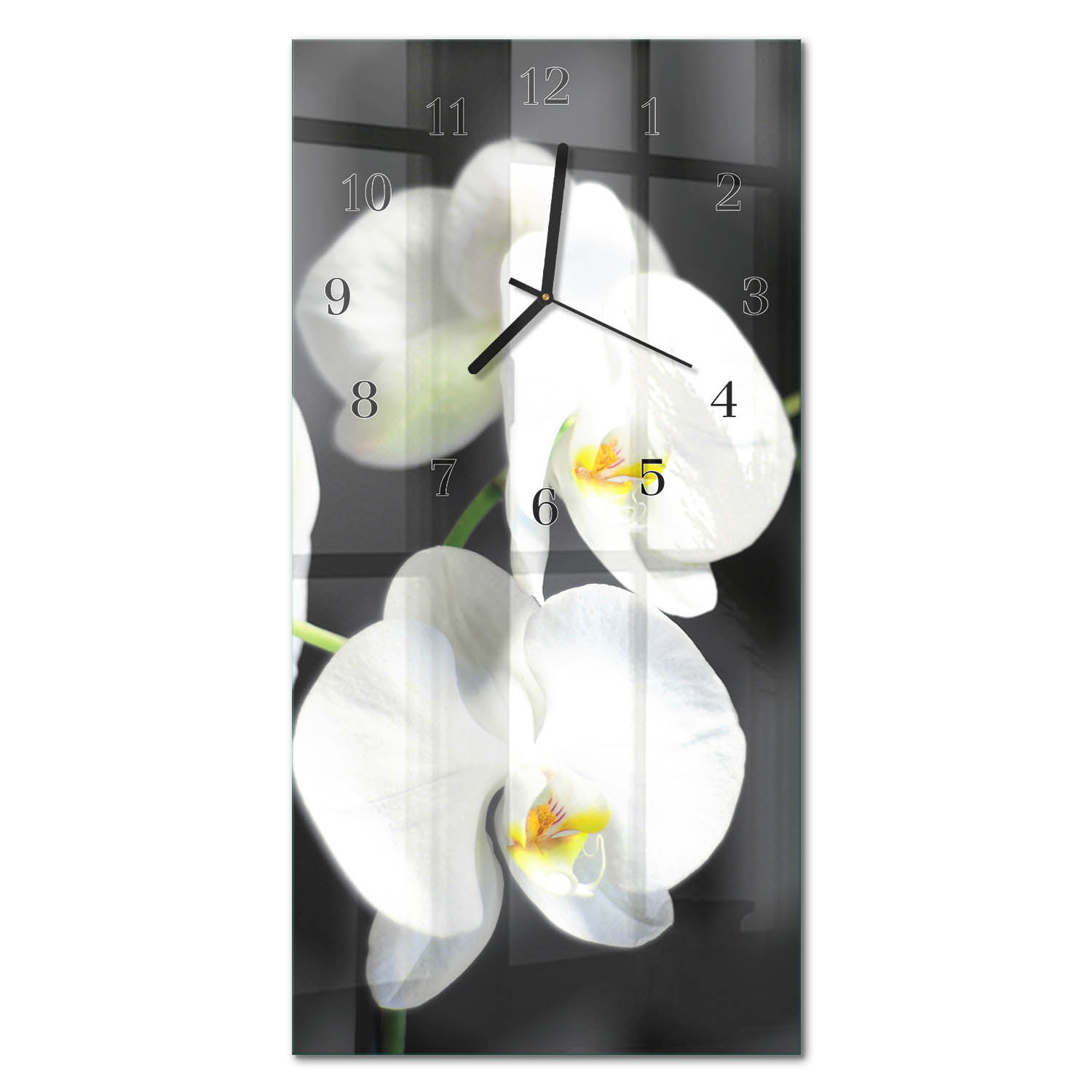 Zegar na ścianę 30x60 Orchidea szklany ścienny