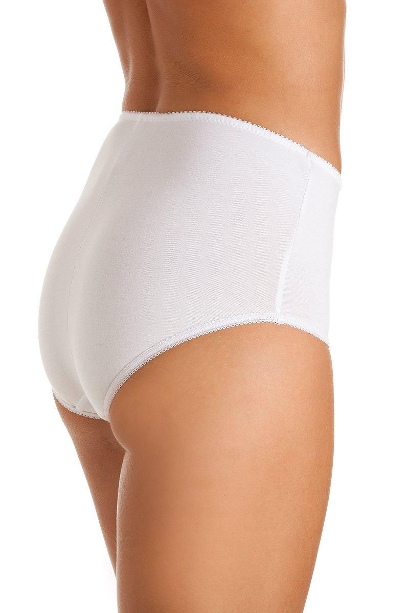 Camille Three Pack Classic Cotton Control Briefs
