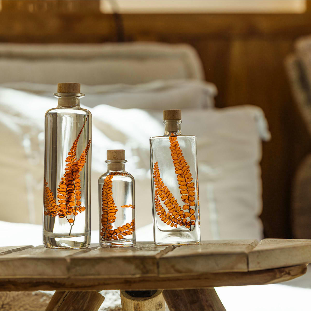 HERBARIUM DE THEOPHILE - Plante immergée Fougère Felci rouge