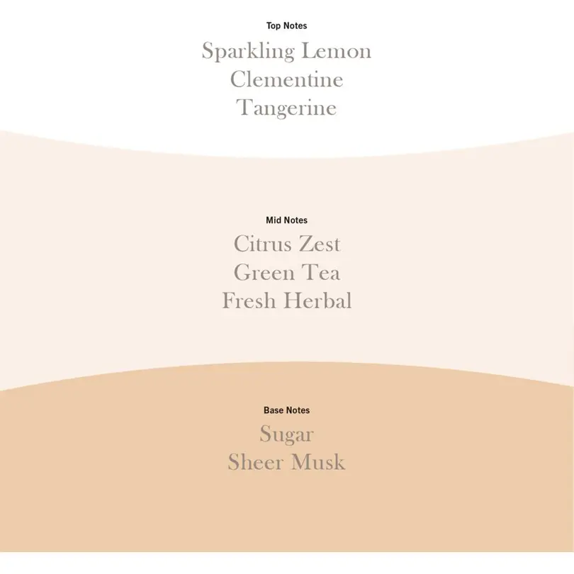 Duftkerze Tangerine & Citron