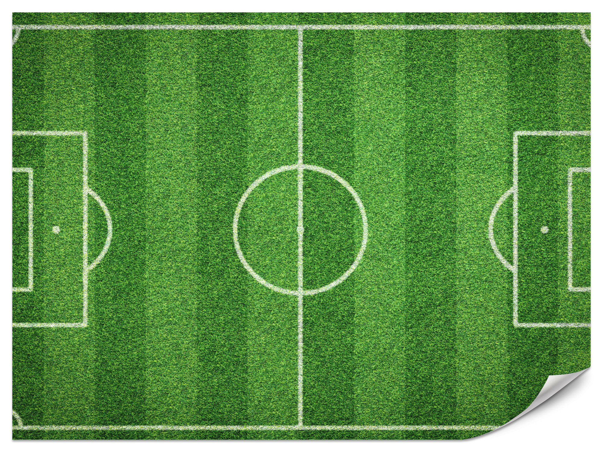 Fototapeta Stadion z lotu ptaka 100x70cm