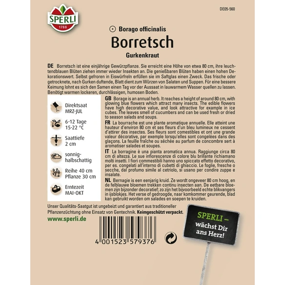 Boretsch »Gurkenkraut«, einjährig, Würzkraut mit hohem Zierwert
