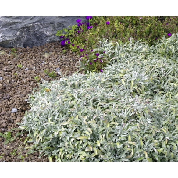 Lavamulch »Lavamulch rotbraun«, rotbraun