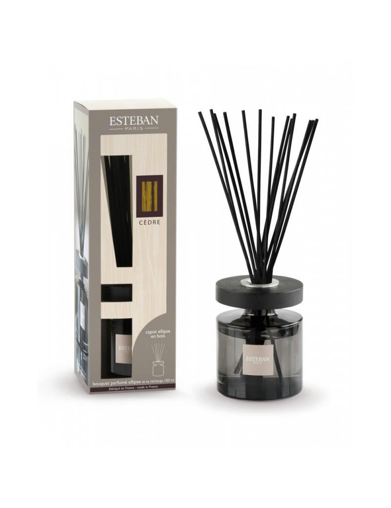 CÈDRE - Bouquet parfumé ellipse et sa recharge 150ml cèdre