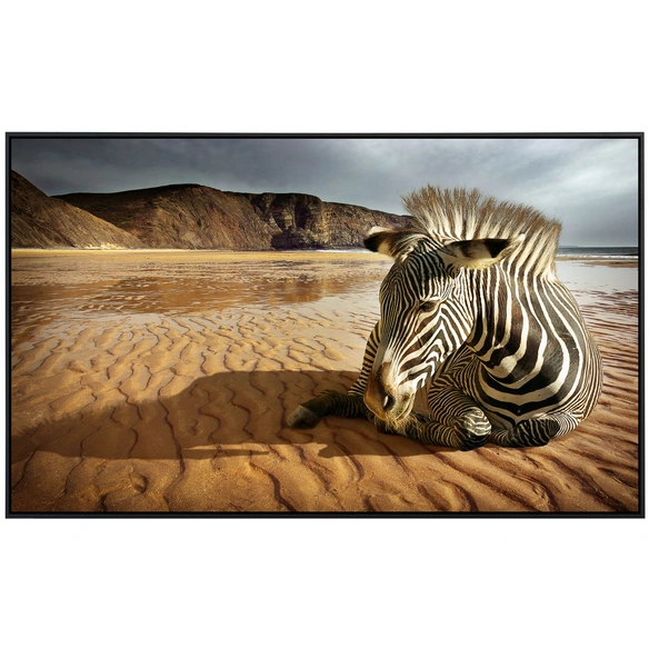 Infrarotheizung »EcoHeat - Strandzebra«, Matt-Effekt