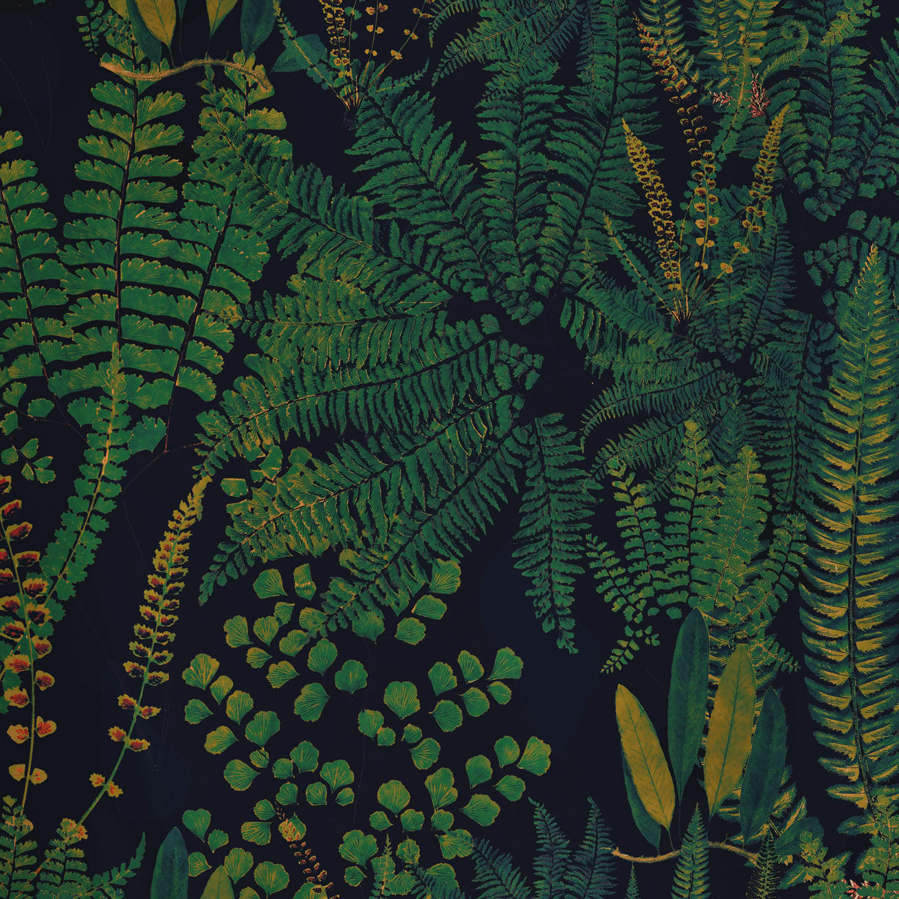 - Papier peint motifs fougeres bleu 425x260cm