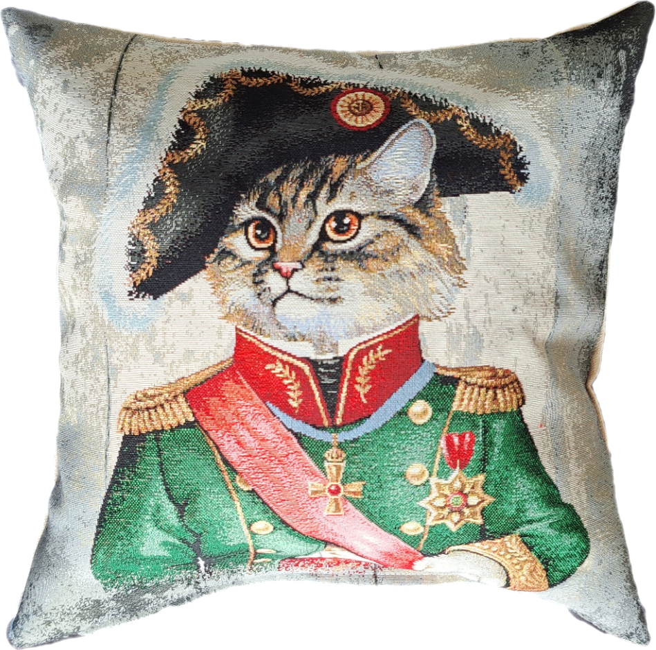 Poszewka Na Poduszkę Jasiek 45X45 Cm Żakardowa Dekoracyjna Ozdobna Napoleon