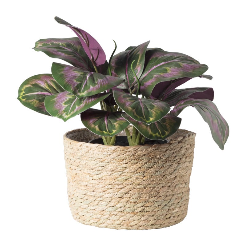 Bloempot Aaron - &Oslash;22x15 cm