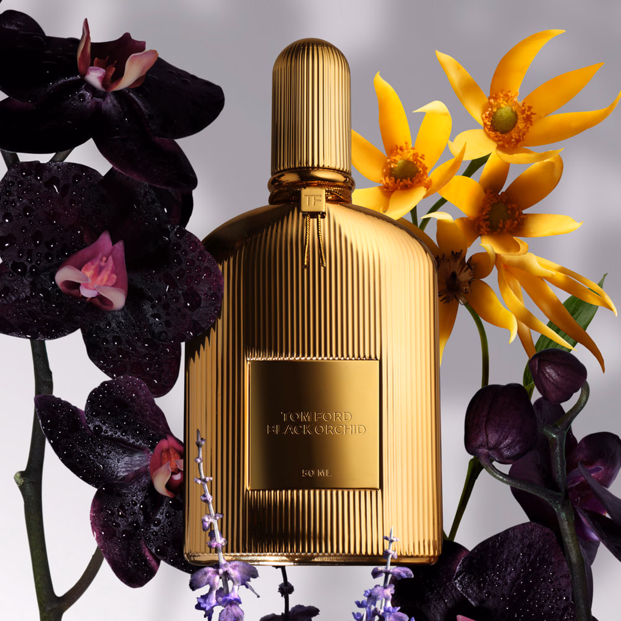 BLACK ORCHIDParfum