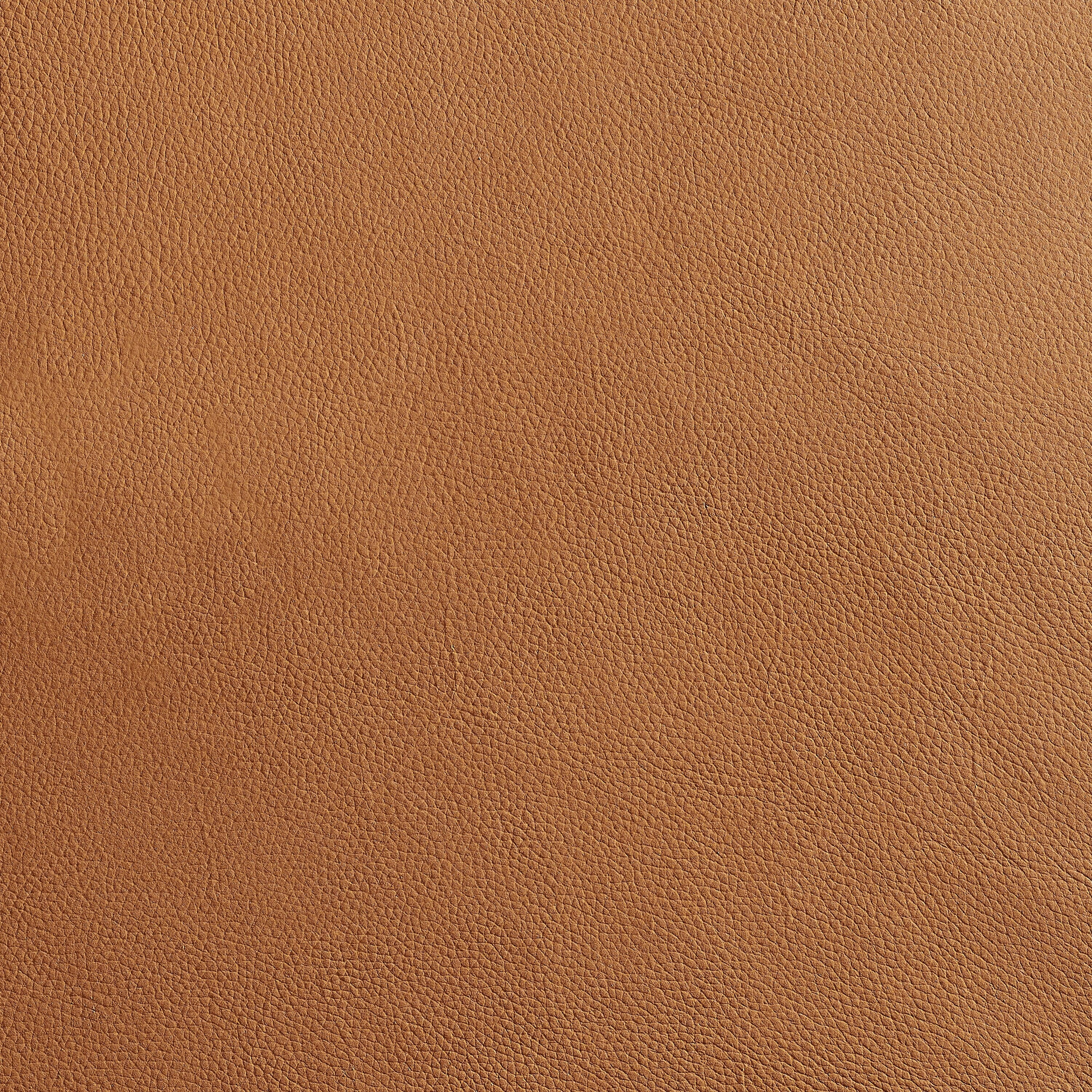 Art Leon Mid-centuery Modern Genuine Leather Chair