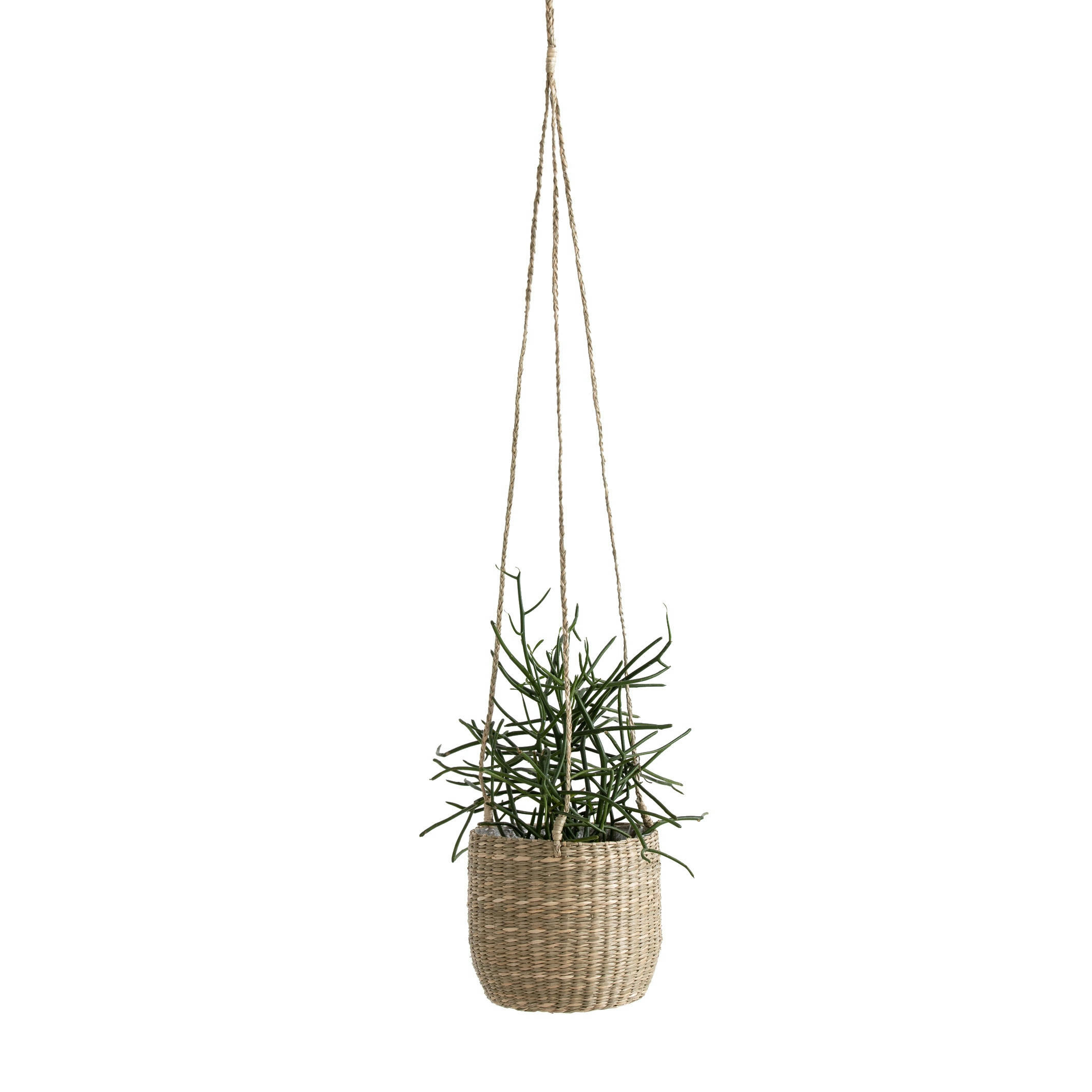 Cachet-pot suspendu en herbier Ø13 cm, Mila